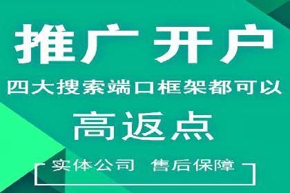 百度竞价竞争分析：实战案例与应对策略