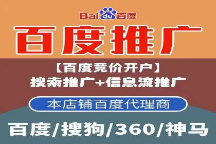 某品牌SEM广告策略揭秘——代运营公司的智慧